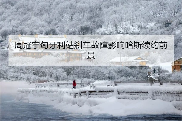 周冠宇匈牙利站刹车故障影响哈斯续约前景