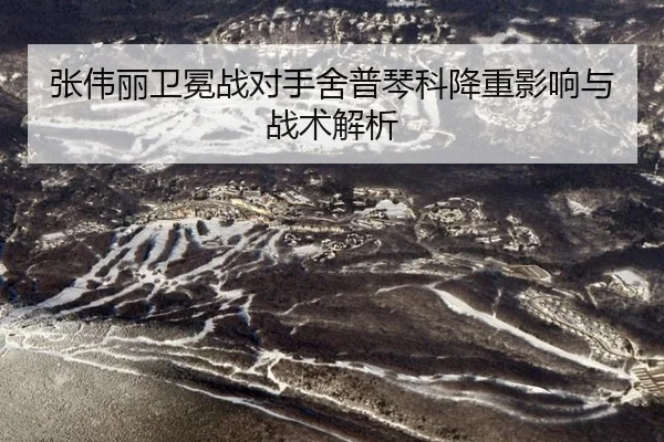 zhang-wei-li-wei-mian-zhan-dui-shou-she-pu-qin-ke-jiang-chong-ying-xiang-yu-zhan-shu-jie-xi-2-993.jpg