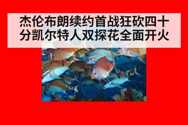 杰伦布朗续约首战狂砍四十分凯尔特人双探花全面开火